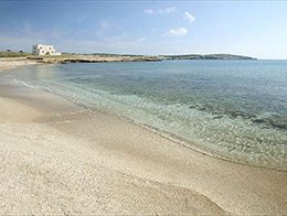 Schinoussa beach Bazaios